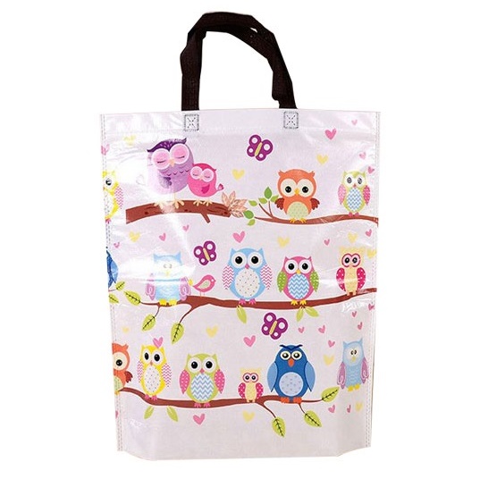 Customized Non-woven (Laminated) Tote Bag 141