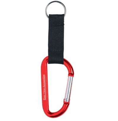 Carabiner Key Chain 135